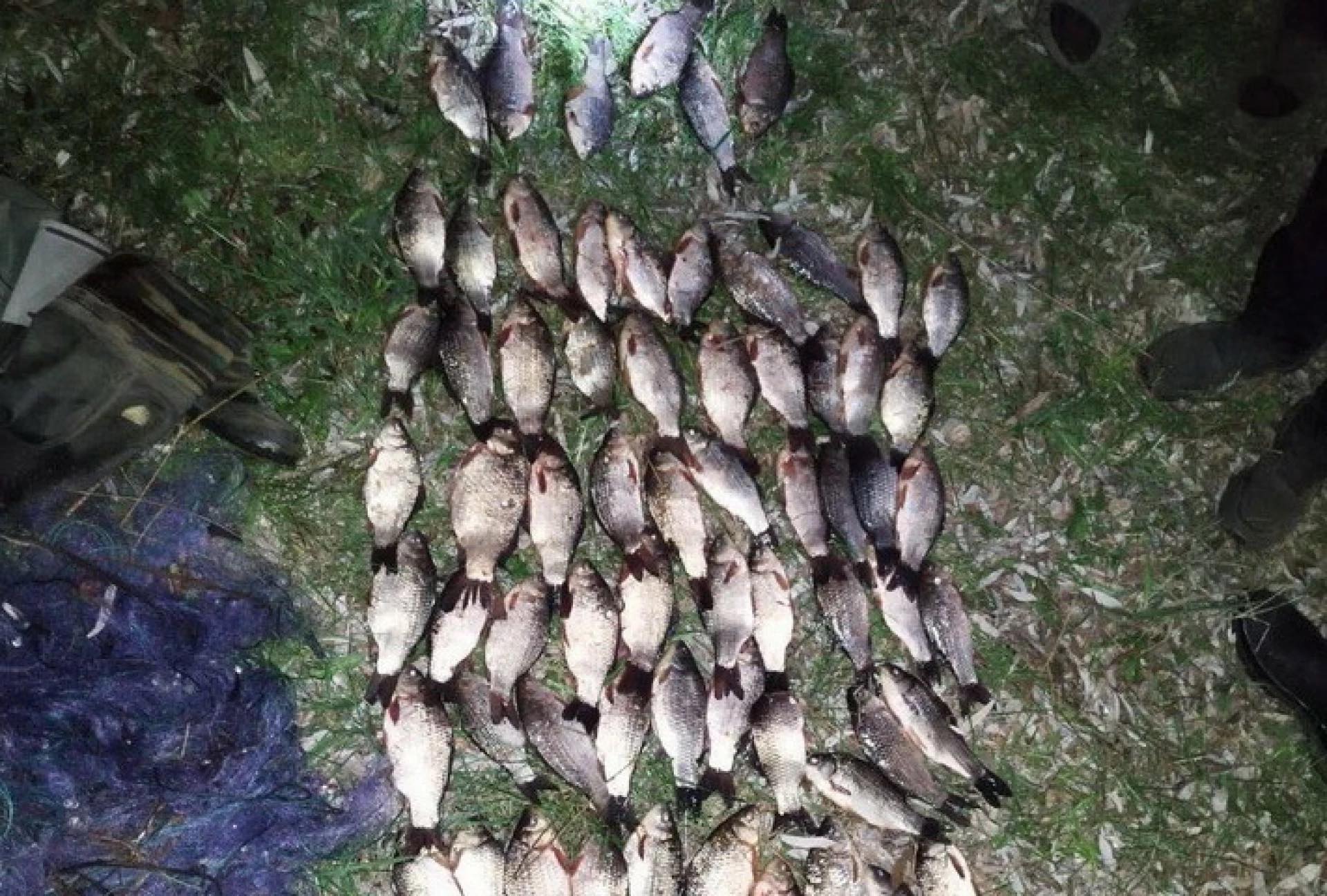 Пенсіонер із Кременчука наловив риби на 360 тисяч: суд виніс вирок