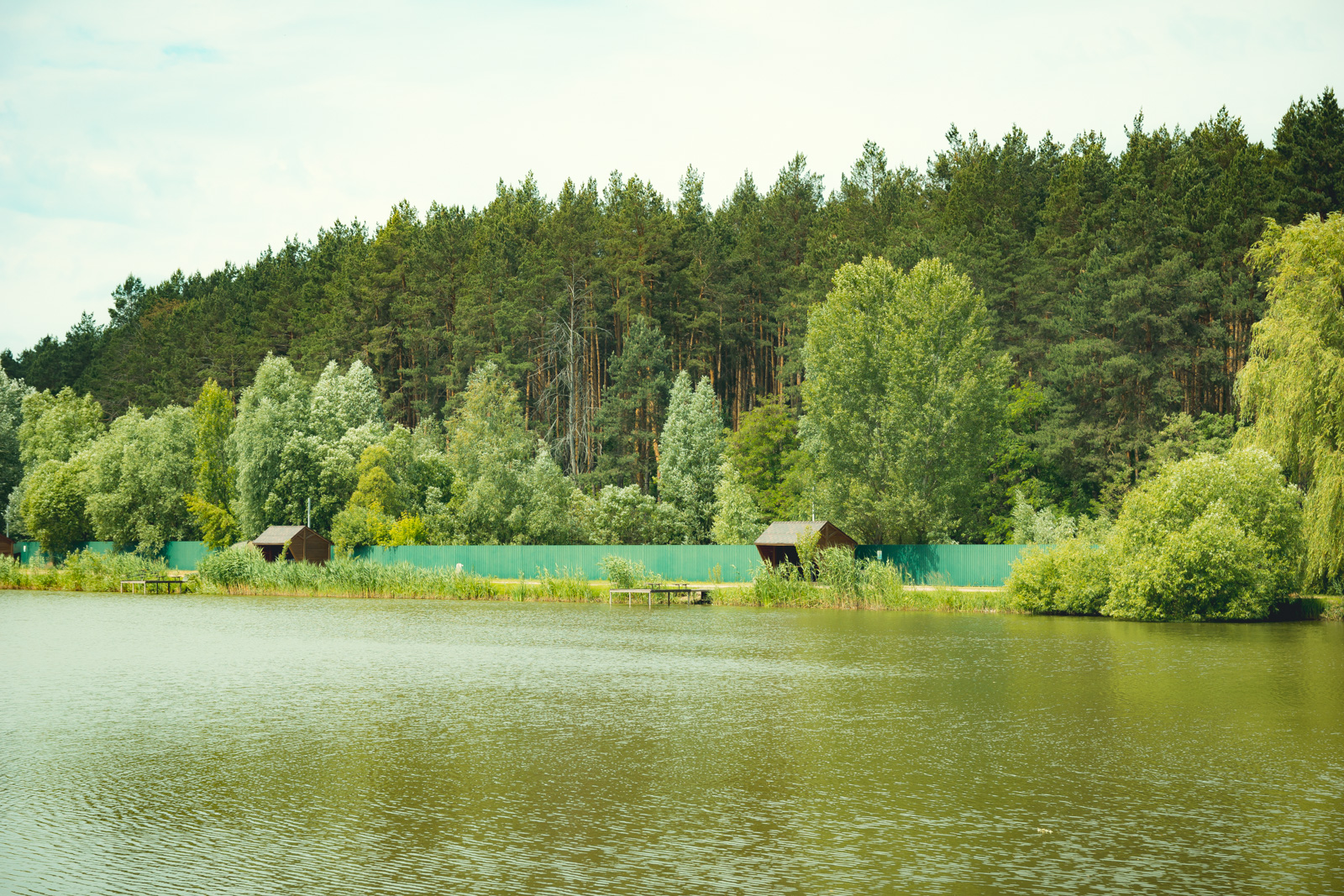 Рибальський клуб «Солтанівка» — платна рибалка біля Києва
