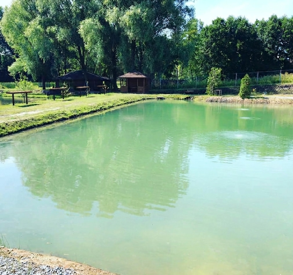 Forelka Club — платна рибалка та відпочинок під Києвом