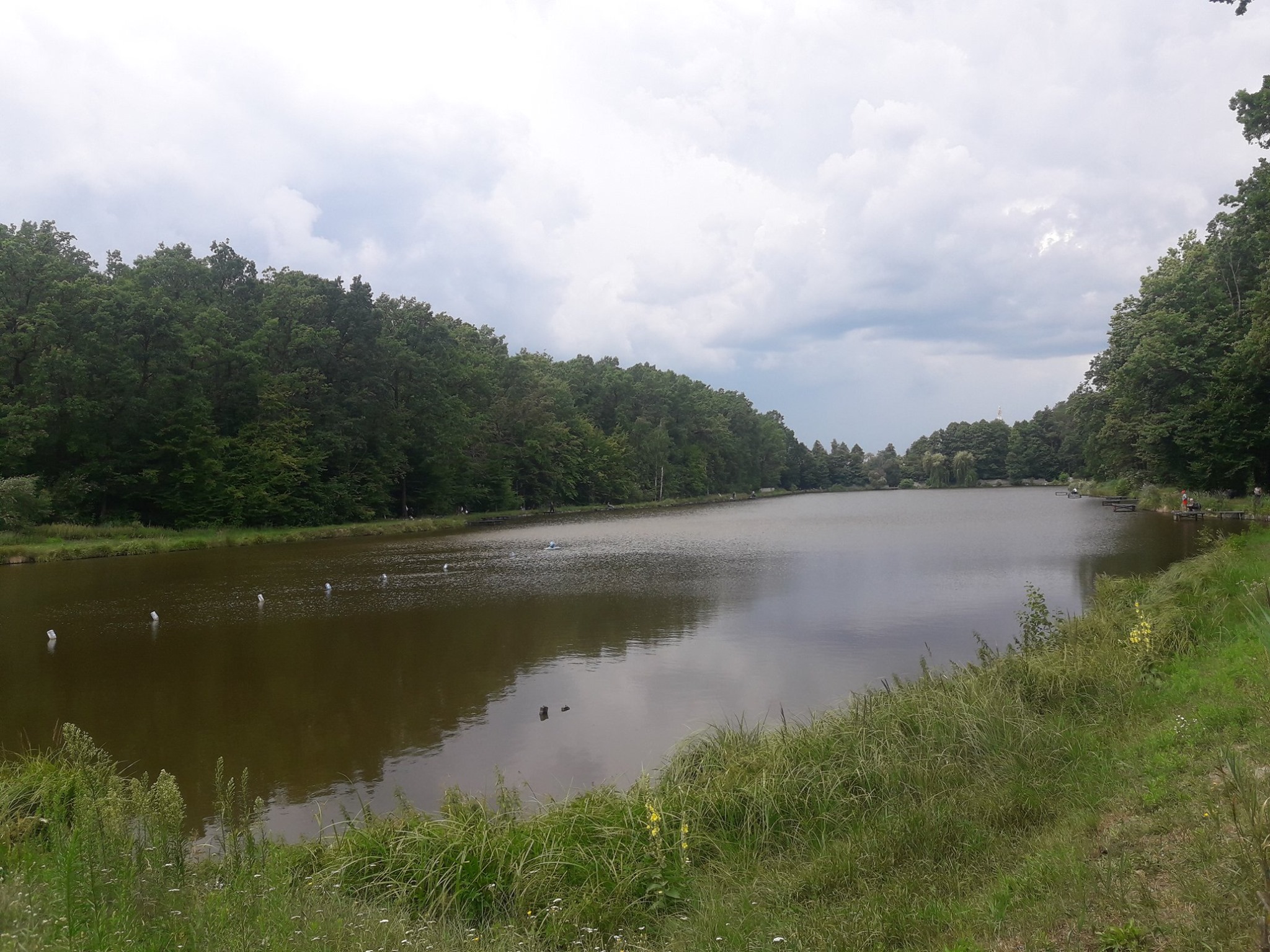GoldFish Club (Клавдієве-Тарасове): платна рибалка під Києвом