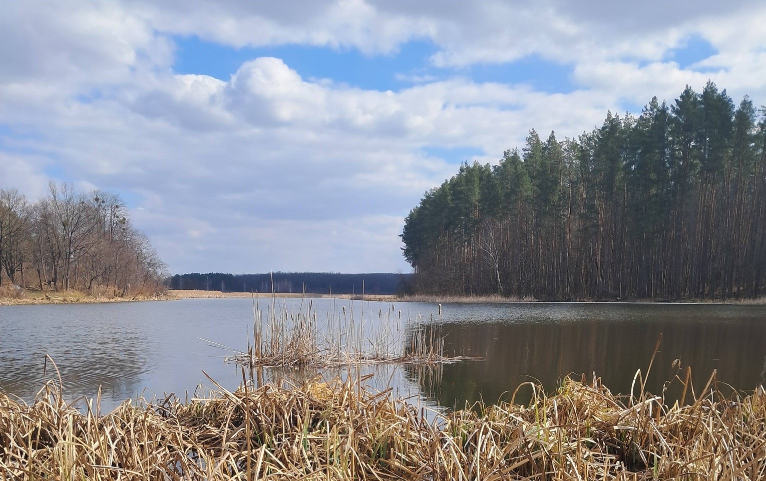 Риболовля в Корчаку (річка Тетерів, Житомирська область)