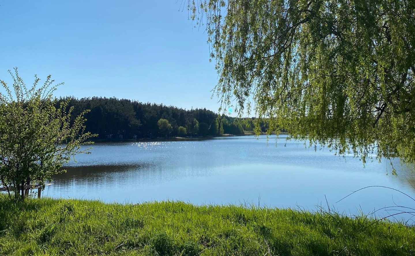 Озеро Козинці: рибалка під Києвом