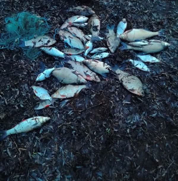 Наловив риби на 54 тисячі: на Чернігівщині викрили браконьєра