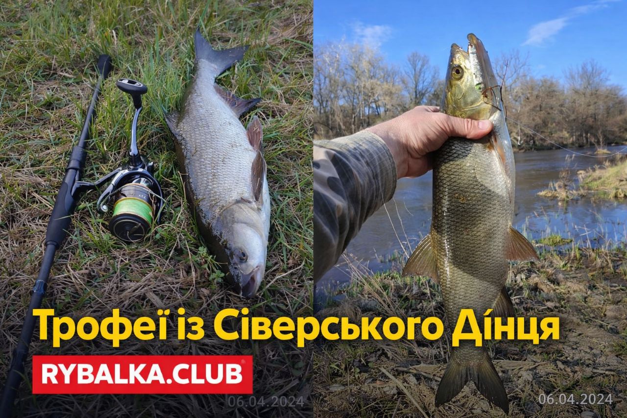 Рибалка з уловом: Денис Пивоварок показав трофеї із Сіверського Дінця
