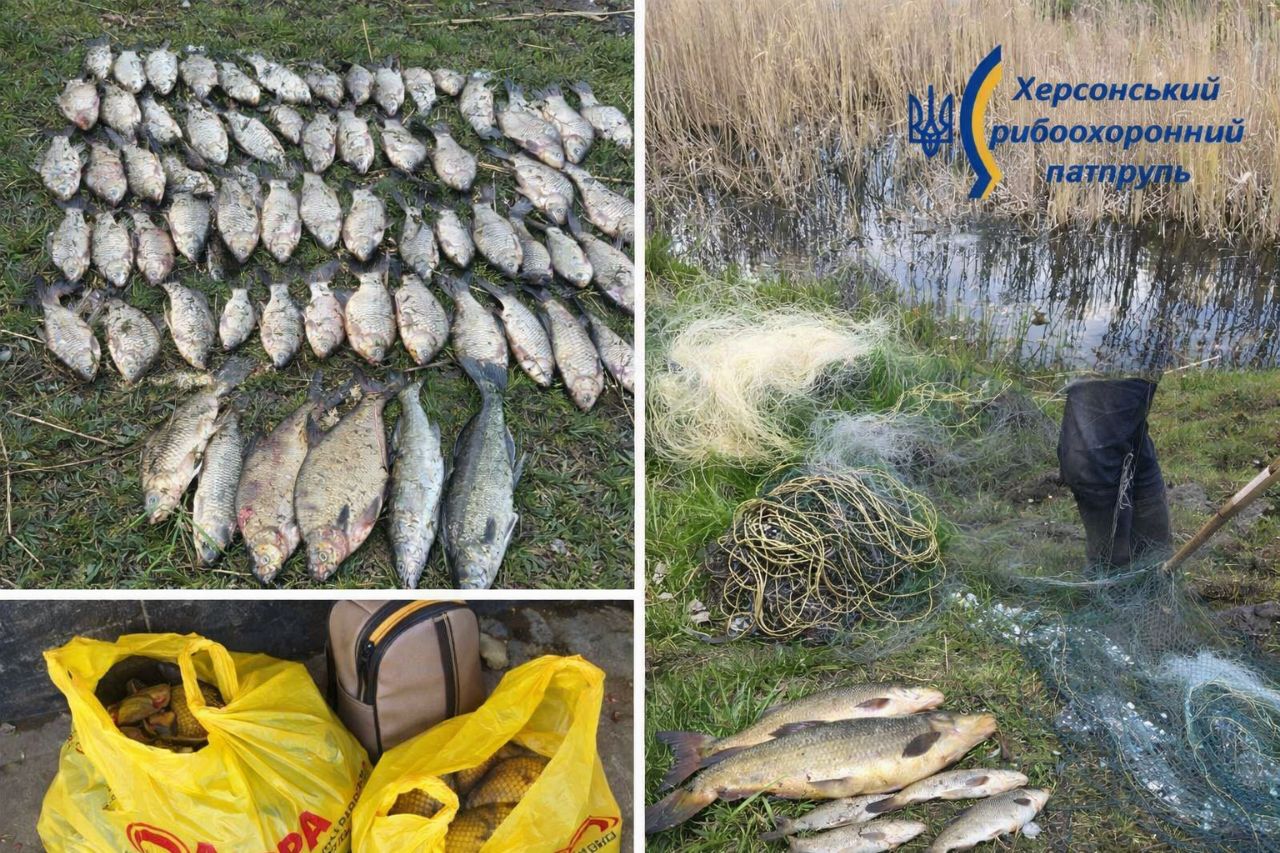 На Херсонщині за тиждень викрили 8 порушень рибальства: збитки понад 380 тис. грн