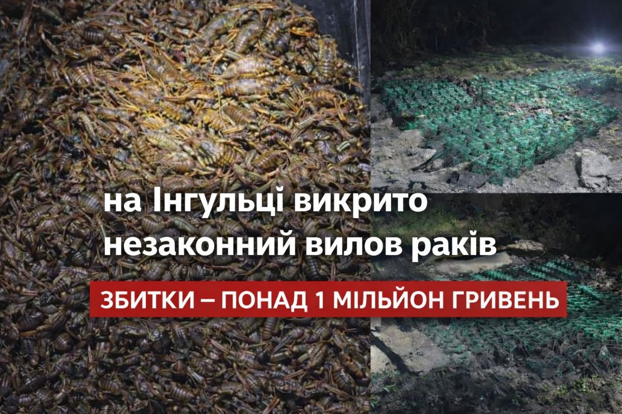 Понад 1 млн грн збитків: на Інгульці викрили незаконний вилов раків під час нересту