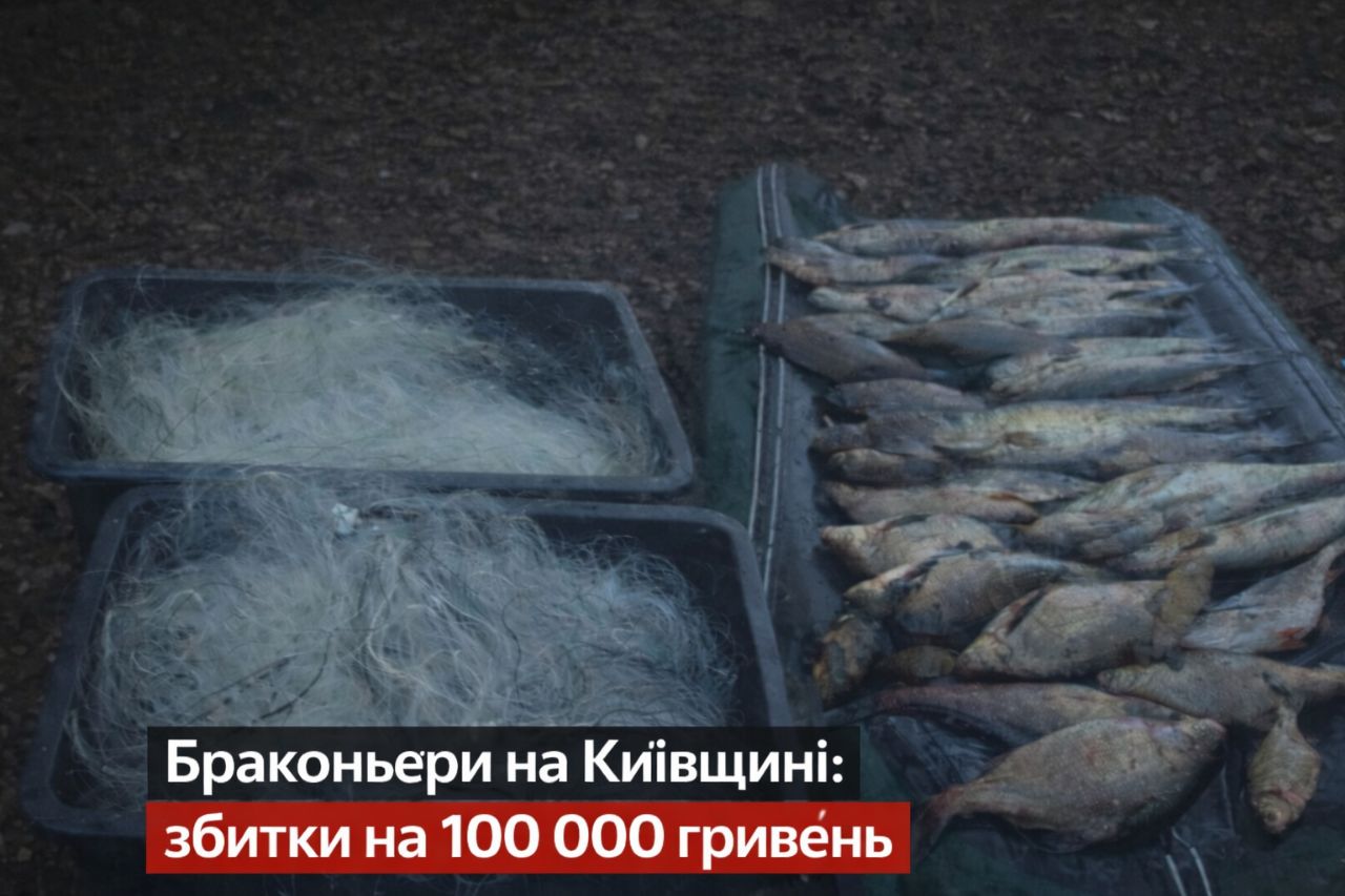 На Київщині викрили браконьєрів: збитки — понад 100 тисяч гривень