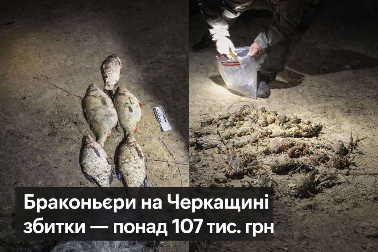 На Кременчуцькому водосховищі викрили браконьєрів: збитки — понад 107 тисяч гривень