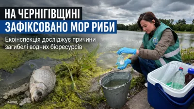 На Чернігівщині зафіксували масовий мор риби у річці Пакулька