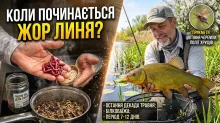 Весняний жор линя: коли починається найкращий кльов