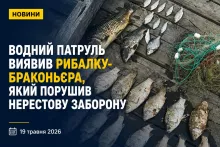 На Дніпропетровщині викрили браконьєра під час нересту